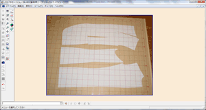デジタルカメラ入力